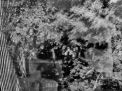 The Vapors Image-6