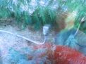 The Vapors Image-7